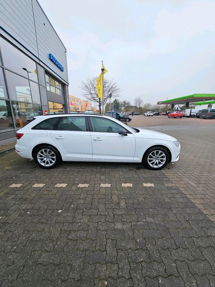 Audi A4 B9 in Elmshorn