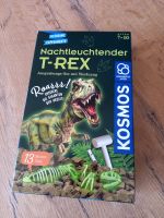 Kosmos Ausgrabungs-Set T-Rex NEU Bayern - Parkstein Vorschau