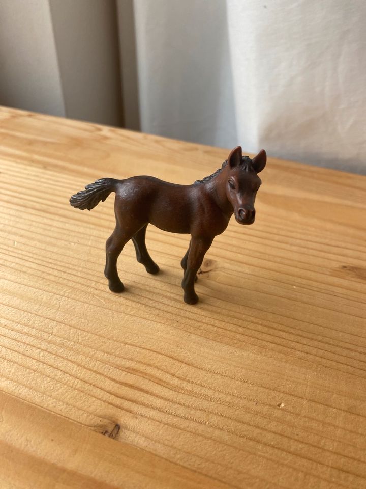 Schleich - Pferde - Fohlen in Waldkappel