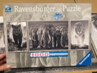 Ravensburger Triptychon 1000 Teile Brandenburg - Petershagen Vorschau