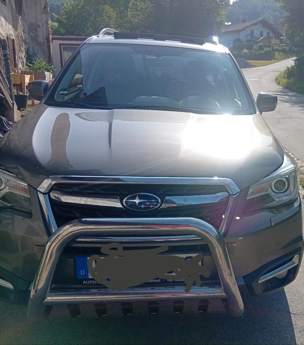Abbildung des Autos Subaru Forester