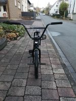 BMX mit Wethepeople Trust Rahmen Nordrhein-Westfalen - Arnsberg Vorschau