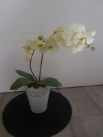 Kunstpflanze Orchidee in weiß mit 12 cm Übertopf. Niedersachsen - Oldenburg Vorschau