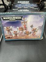 Warhammer 40K - Blood Angels Sanguinary Guard Niedersachsen - Cuxhaven Vorschau