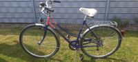 KTM Happy Fun Damenrad 28 Zoll 7-Gang Hannover - Misburg-Anderten Vorschau