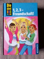 Buch Die drei Ausrufezeichen 3 !!! 2 Bücher in einem Band Saarland - Mettlach Vorschau