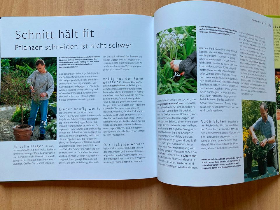 Der Garten im Topf [ Gebundene Ausgabe ] in Schefflenz