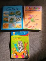 verschiedene Bücher das Meer Tier ABC Leselöwen Hexengeschichten Niedersachsen - Cloppenburg Vorschau