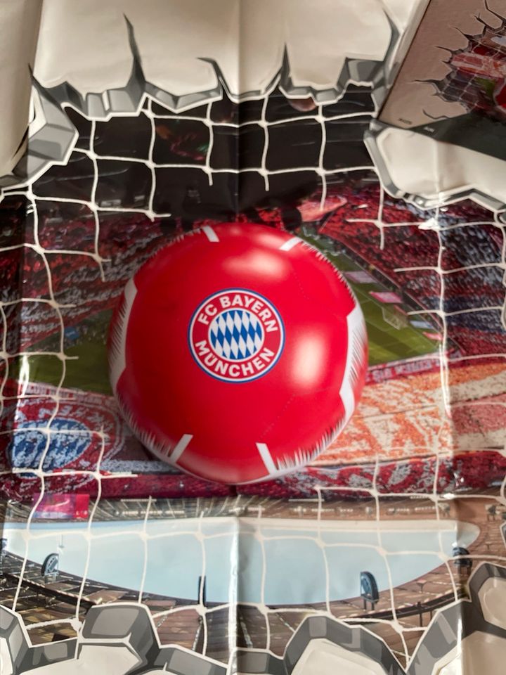 Bayern München Wandlampe LED iBall Neu Wandsticker + Mäppchen in Ortenberg