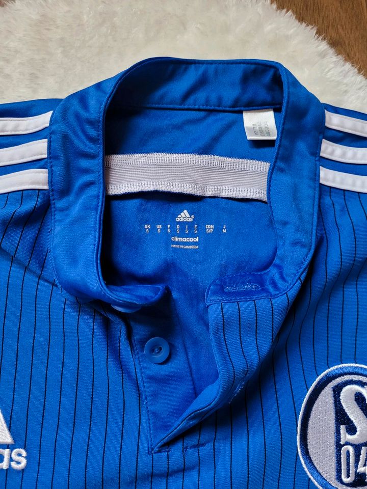 Trikot "Schalke 04" in Wolfsburg