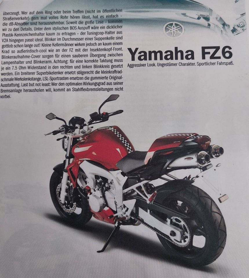 Yamaha FZ6 in Seth Holstein