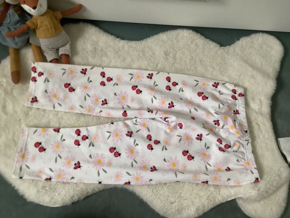 Mini Boden Shirt Top Stickerei Papagei ❤️ Leggings Marienkäfer in Waldkirch