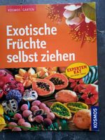 Exotische Früchte selbst ziehen Baden-Württemberg - Bad Buchau Vorschau