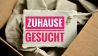 SUCHE 1-2 Zimmer Wohnung Hessen - Haiger Vorschau