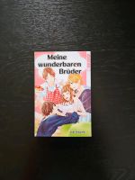 Meine wunderbaren Brüder (Einzelband) komplett Rheinland-Pfalz - Lingerhahn Vorschau