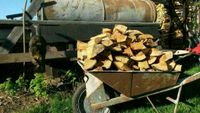 Brennholz trockenes oder frisches Holz Kiefer Birke Robinie Eiche Sachsen - Elsterheide Vorschau
