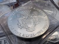 13x 1 Dollar USA American Eagle 1 OZ Silber 999/1000 1986-2015 Nordrhein-Westfalen - Warstein Vorschau