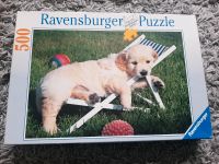 Ravensburger Puzzle 500 Teile - Golden Retriever Welpe - 14179 Nordrhein-Westfalen - Drolshagen Vorschau