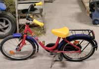 Kinderfahrrad - ideal für den Anfang - Baden-Württemberg - Frankenhardt Vorschau