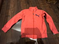 Puma Sweatjacke Mädchen Sport Pullover Pulli Strickjacke 140 Niedersachsen - Hemmingen Vorschau