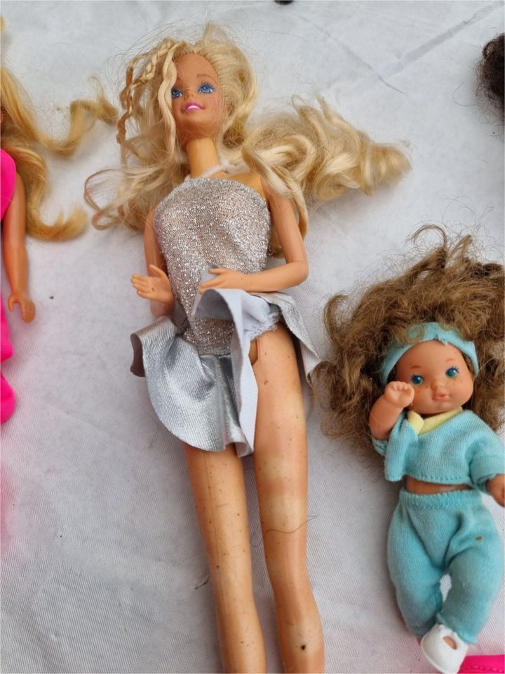 5 Barbie Puppen, 3 Babys, 1 Pferd und Kleidung in Hamweddel