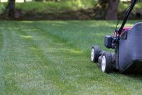 Ich Biete Gartenarbeiten an Nordrhein-Westfalen - Wermelskirchen Vorschau