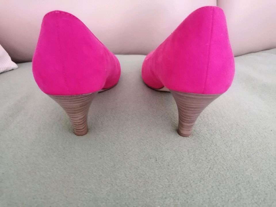 "Tamaris" Pumps 38 pink, NEU in Peine