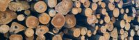 Holz zu verkaufen Bayern - Ernsgaden Vorschau