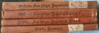 Alte Bücher Verlag Habbel Regensburg von Th. Messerer Nürnberg (Mittelfr) - Kleinreuth b Schweinau Vorschau