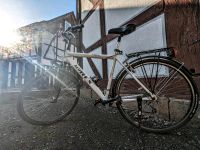 Fahrrad Herren 28 Zoll Hessen - Eiterfeld Vorschau