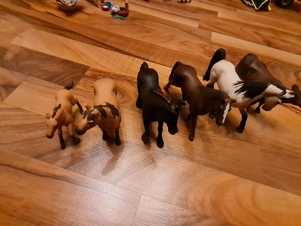 Schleich Pferdehof mit viel Zubehör in Kösching