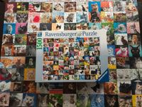 Puzzle (Ravensburger), 99 Katzen, 1500 Teile Sachsen - Brand-Erbisdorf Vorschau