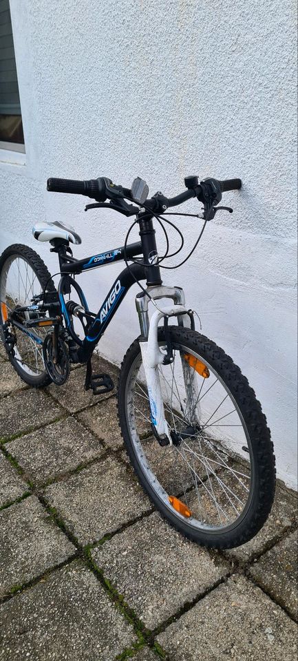 26 Zoll Fahrrad MTB in Radebeul