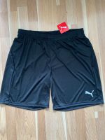 Puma Shorts Schwarz Gr. XL Neu Harburg - Hamburg Heimfeld Vorschau