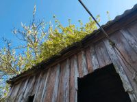 Holz und Balken Mecklenburg-Strelitz - Landkreis - Woldegk Vorschau