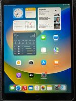 Apple iPad Pro 10,5 Zoll 64GB Niedersachsen - Stolzenau Vorschau