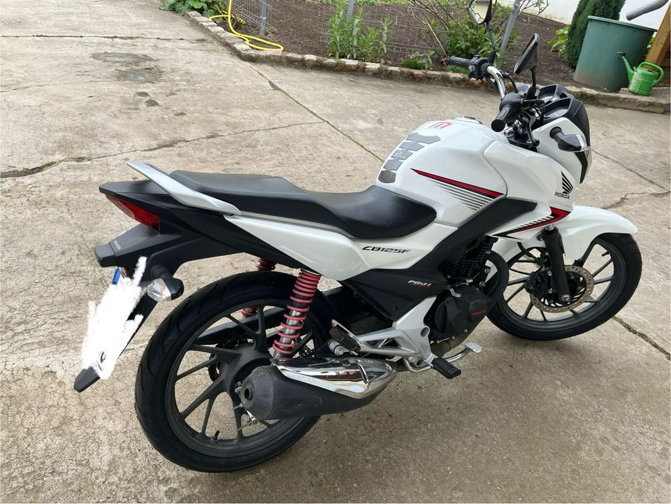 Honda CB 125 F in Schwedt (Oder)