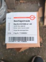 Restposten Beschlagschrauben 40 mm Spanplatten Schrauben Schleswig-Holstein - Glinde Vorschau
