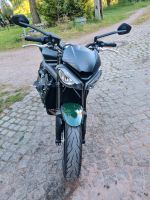 Triumph Street Triple 765 Sachsen - Erlau Vorschau