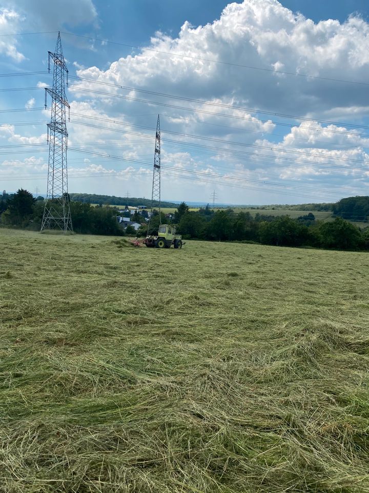 Suche Grünland Ackerland Agra Weide Land Fläche in Hofheim am Taunus