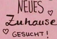 Wohnung Menden Platte Heide/Mitte/in den Liethen Nordrhein-Westfalen - Menden Vorschau