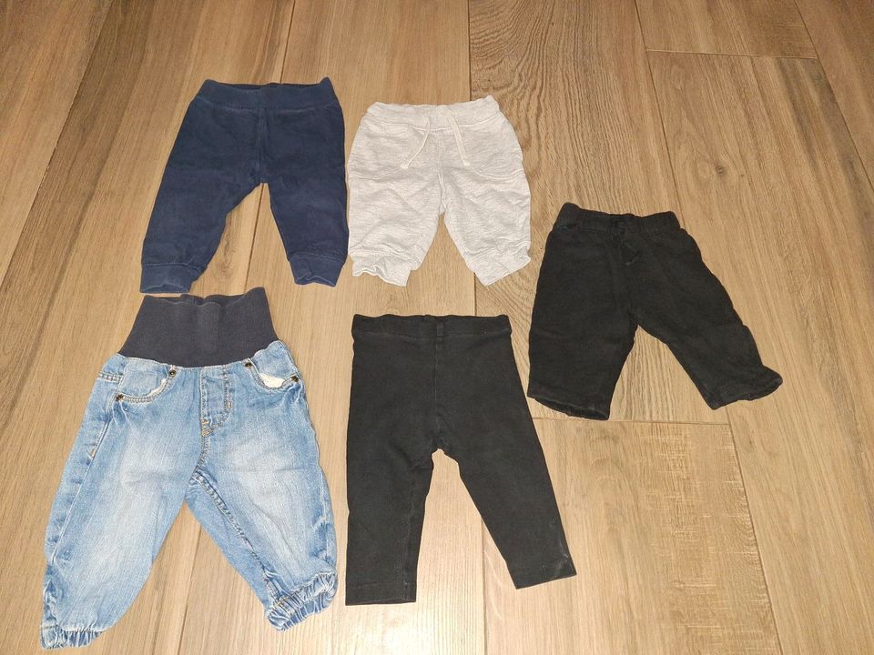 H&M Hosen/ Jeans/ Leggins  Größe 68 in Hütschenhausen