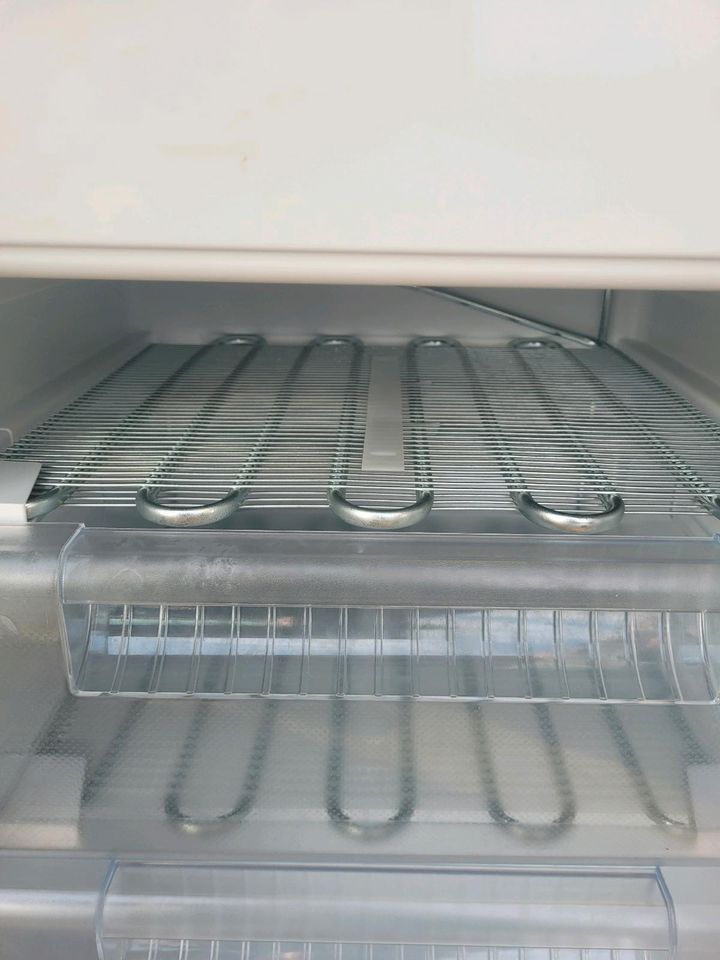 Kühlschrank, Gefrierschrank in Nebra (Unstrut)