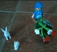 Playmobil Glockenblumen Fee 4196 Hessen - Neukirchen Vorschau