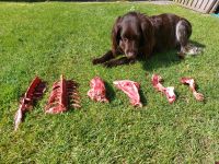 Wildknochen (Hundefutter Hundeknochen) Schleswig-Holstein - Reinfeld Vorschau