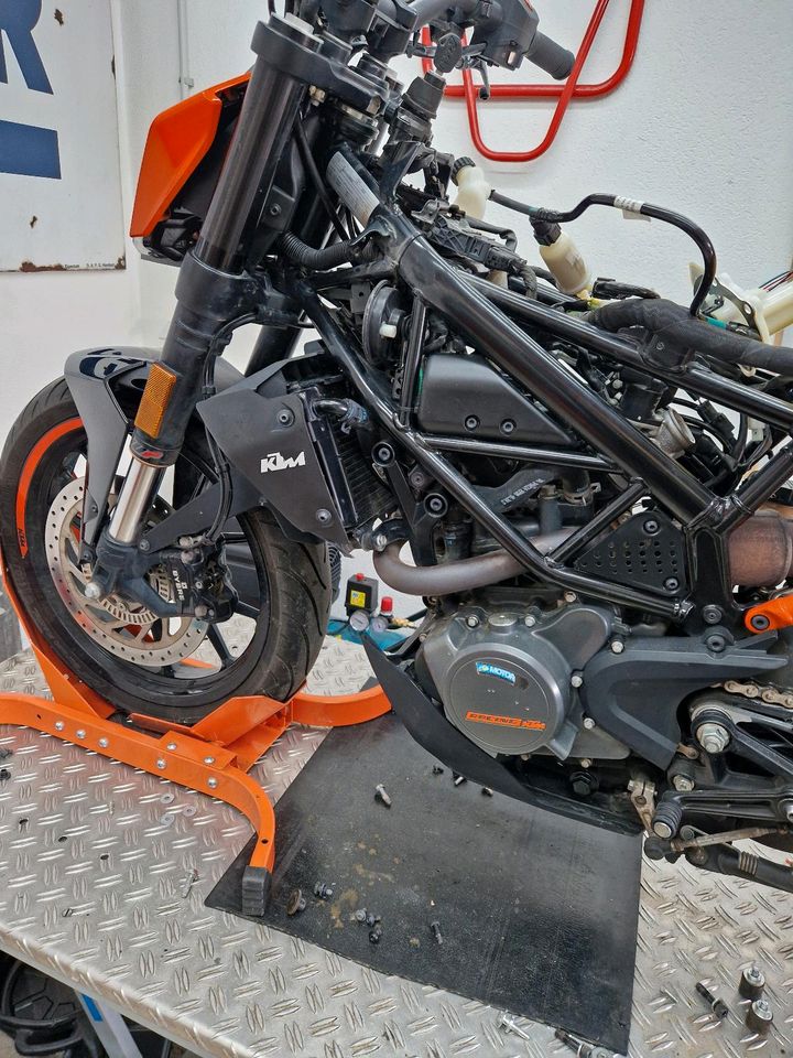 KTM Duke 125 2018 in Klettgau