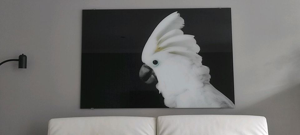 Großes Glasbild 120x80 in Zempin