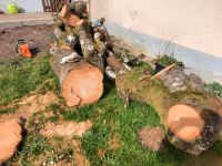 Kirschbaum  Holz  eventuell auch Brennholz Bayern - Karlskron Vorschau