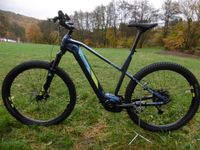 Conway Cairon S 5.0 E-Bike MTB BOSCH CX 750Wh Kiox 300 *NEU* Saarland - Schmelz Vorschau