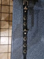 Halsband  Gr 42 cm Dortmund - Innenstadt-Ost Vorschau